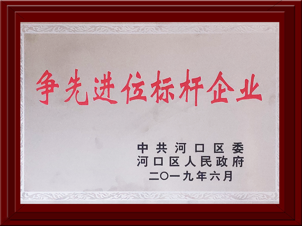 2019年河口區(qū)爭先進位標桿企業(yè)獎